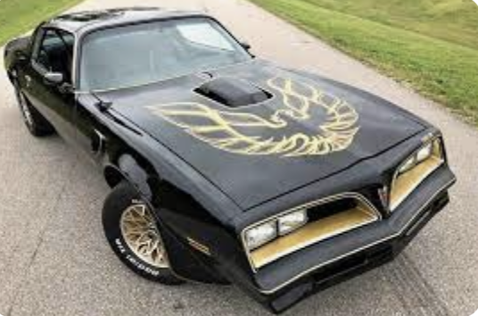KatKanada_TM's tweet photo. I hear that it's Trans Day of Remembrance today. 

So here is a Trans Am. 

Do you remember these? 😂🔥 https://t.co/9xIBgOWydE