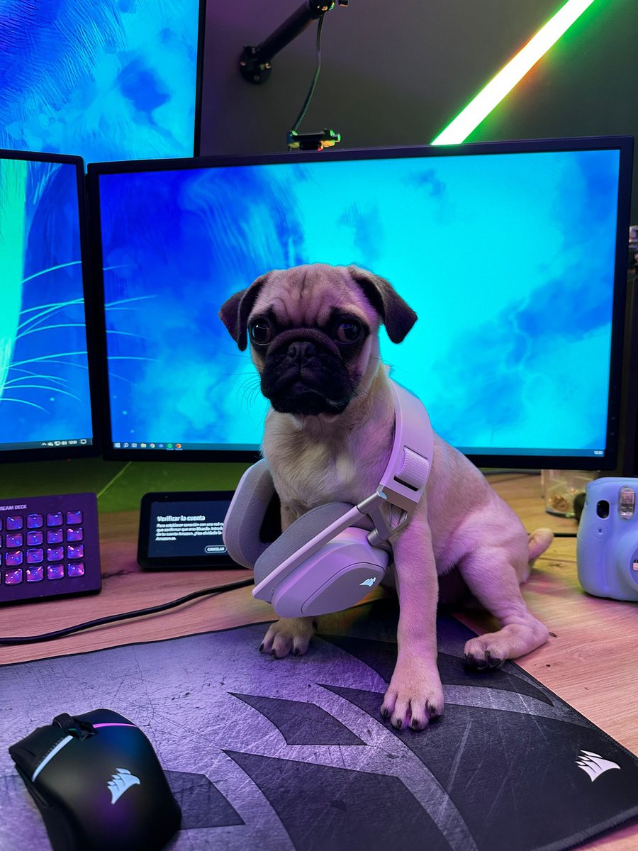 Sube foto con tus HS80 MAX WIRELESS 📸 
Yo: