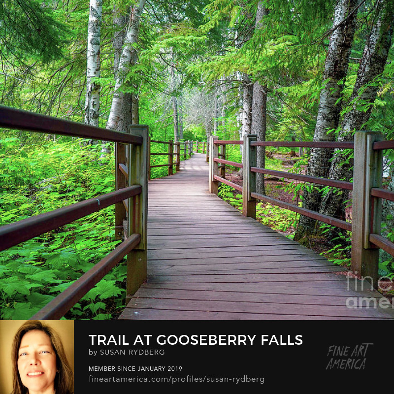 Trail at Gooseberry Falls  #GooseberryFalls #Northshore #LakeSuperior #Minnesota #photo #photography #PhotographyIsArt #BuyIntoArt #travel #travelphotography 

Prints: fineartamerica.com/featured/trail…