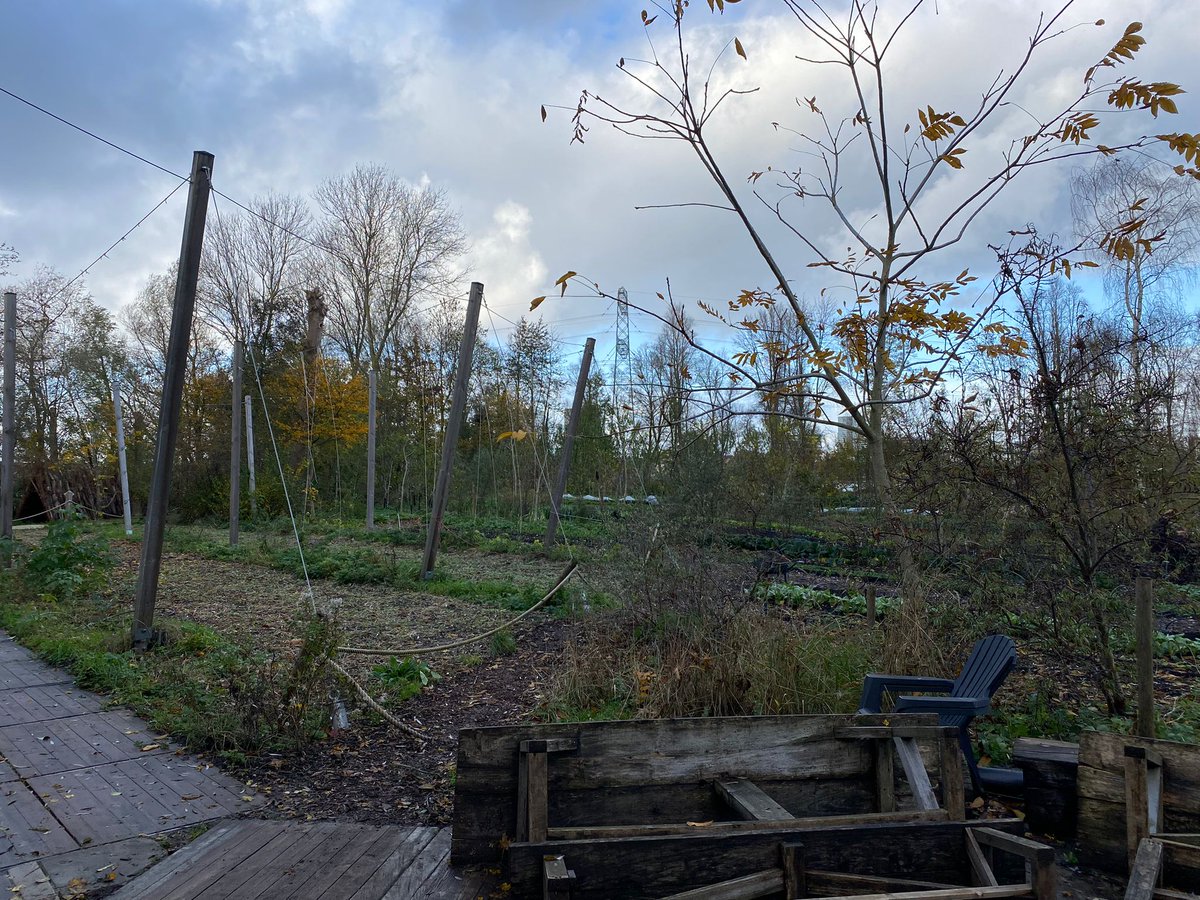 OdiledeMan's tweet photo. Waardevolle leerzame middag over het verschil tussen Agroforestry en een voedselbos op Utopia Eiland in Almere. https://t.co/Zd61XnFeVm