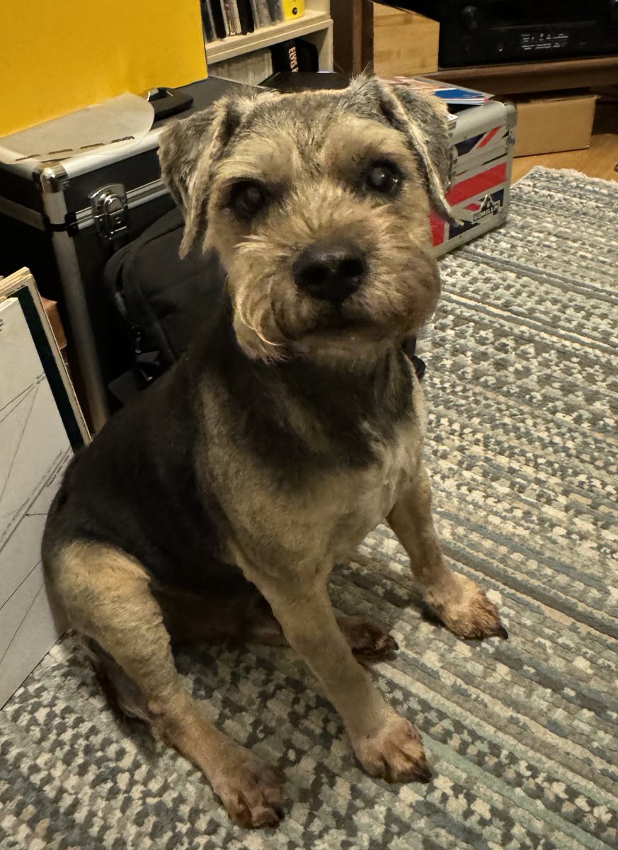 FergusFowles (@fergus_fowles) on Twitter photo Ello everyone. I used to be @fergusfowles until X deactevayted me accownt. Dis iz my new one. Pleaze do me a follow. <a href="/NessaSpratticus/">Nessa & Co. (aka Sir Jack Spratticus🌈)</a> Ello everyone. I used to be @fergusfowles until X deactevayted me accownt. Dis iz my new one. Pleaze do me a follow. <a href="/NessaSpratticus/">Nessa & Co. (aka Sir Jack Spratticus🌈)</a>