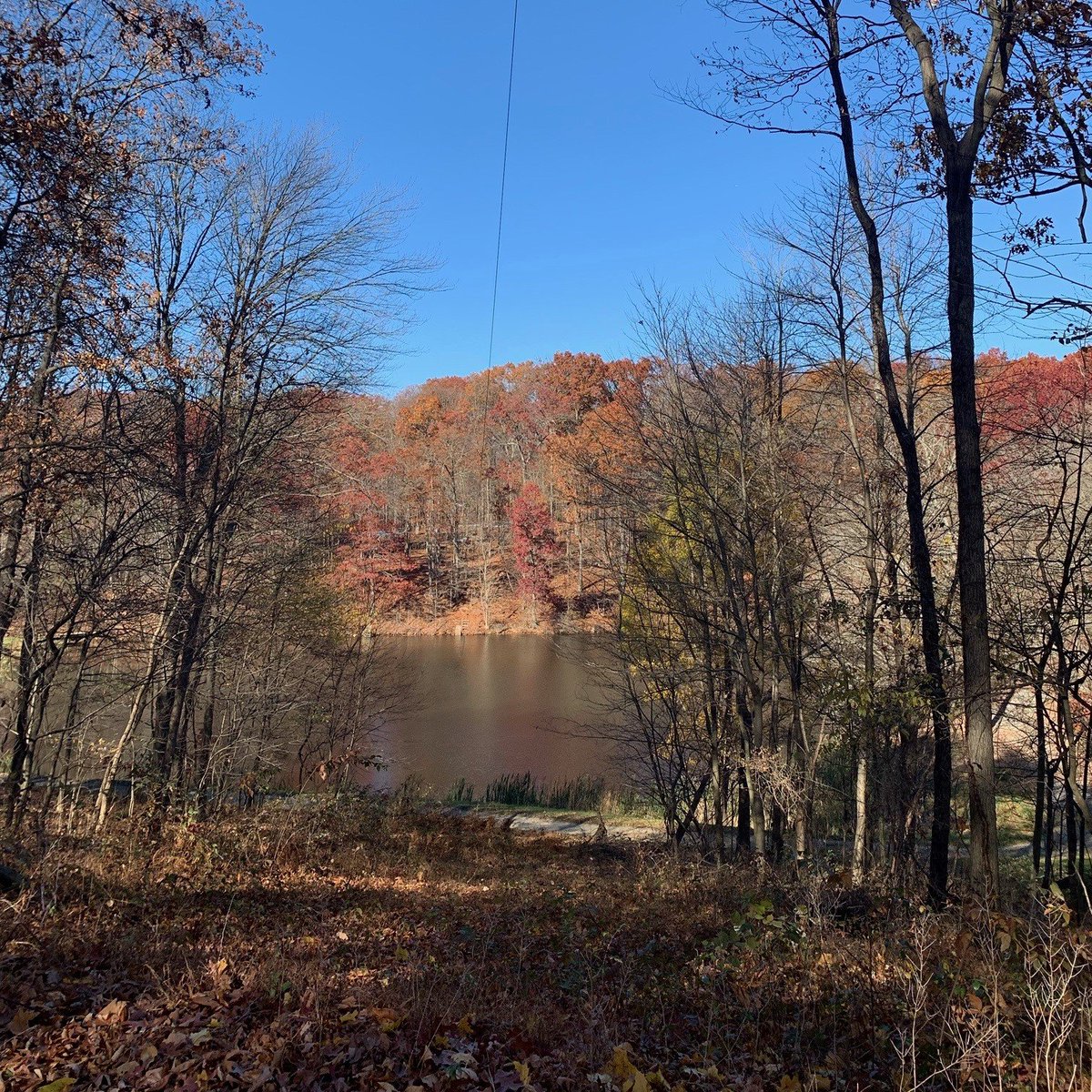 Call_Me_Dutch's tweet image. #MD02 is home to some of the most beautiful scenery, as seen at @GVOLC! The fall colors were in full-swing in Parkton last week when #TeamDutch’s Danielle visited the 150-acre property, featuring challenge courses, athletics fields and nature-based outdoor learning facilities.