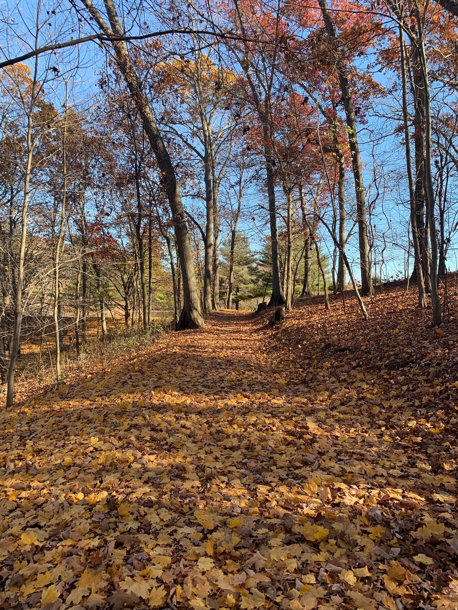 #MD02 is home to some of the most beautiful scenery, as seen at @GVOLC! The fall colors were in full-swing in Parkton last week when #TeamDutch’s Danielle visited the 150-acre property, featuring challenge courses, athletics fields and nature-based outdoor learning facilities.