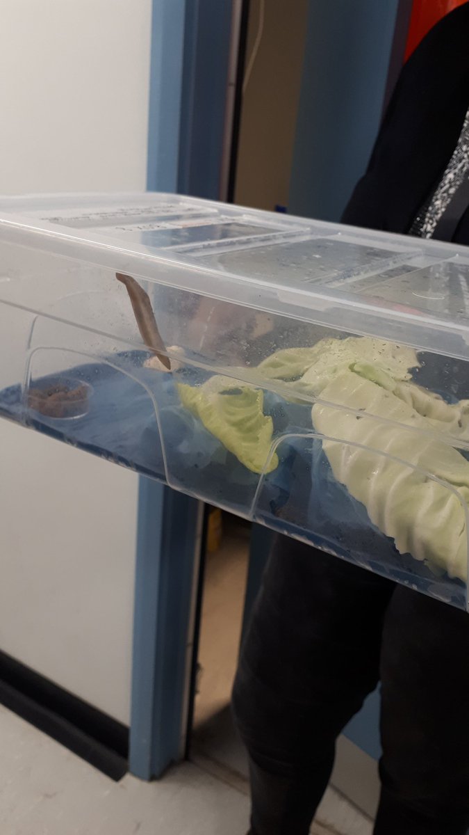 Laura Bouvet tweet media