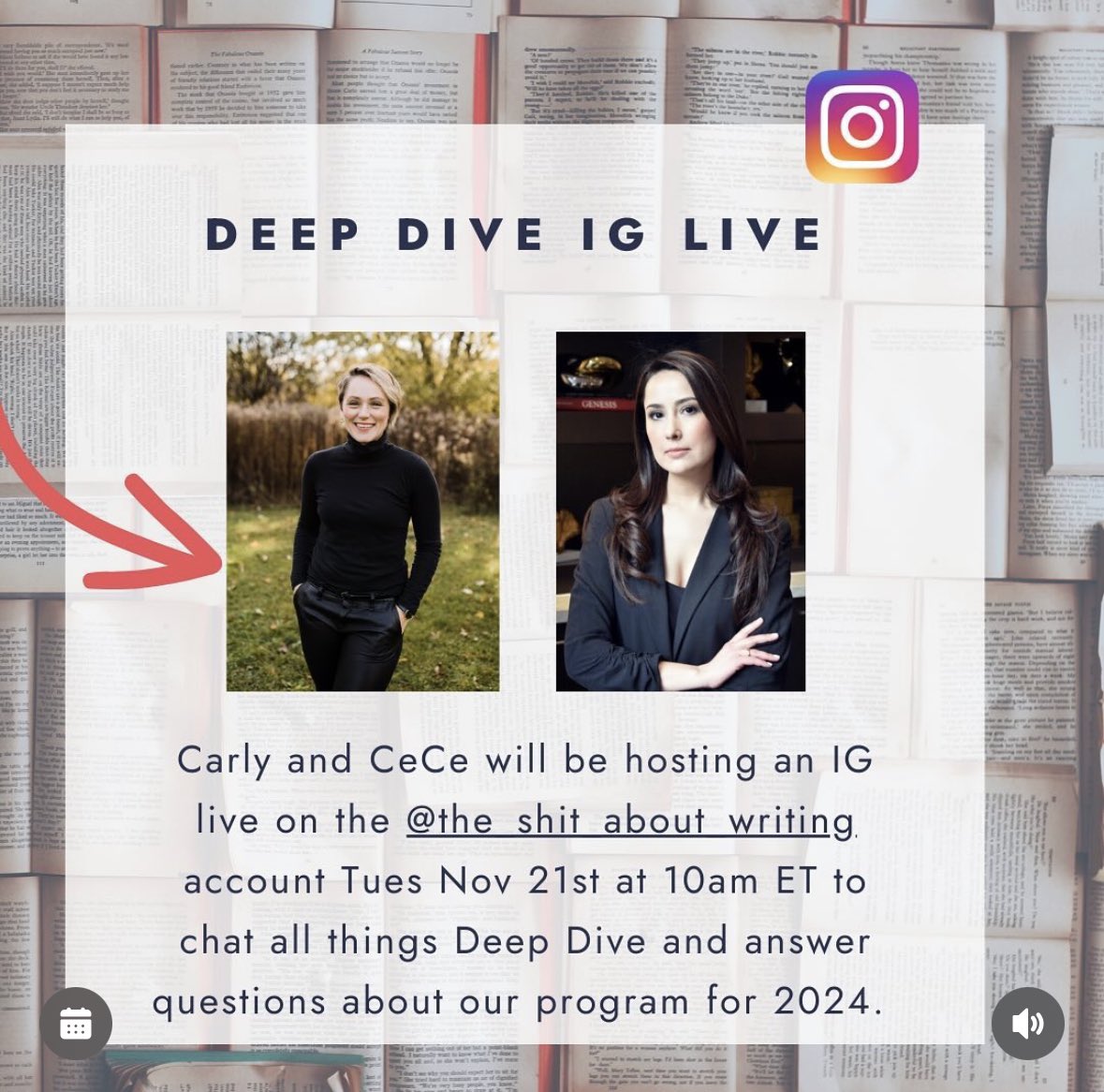 Tomorrow, for one day only, we have the first early bird special for those planning to sign up for our Deep Dive Series in 2024. We have an epic line up, and @carlywatters and @ceciliaclyra will be doing an IG live tomorrow to discuss it as well as answer any questions you have.