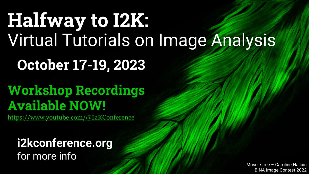📢ALL Workshop Recordings from Halfway to I2K are now available on the I2K YouTube Channel🎉

👀 youtube.com/@I2KConference

The 2023 Playlist is here:
tinyurl.com/HalfwayToI2K20…

@COBA_NIH #MicroscopyMonday #OpenSource #OpenSoftware #I2K2023 #ImageAnalysis