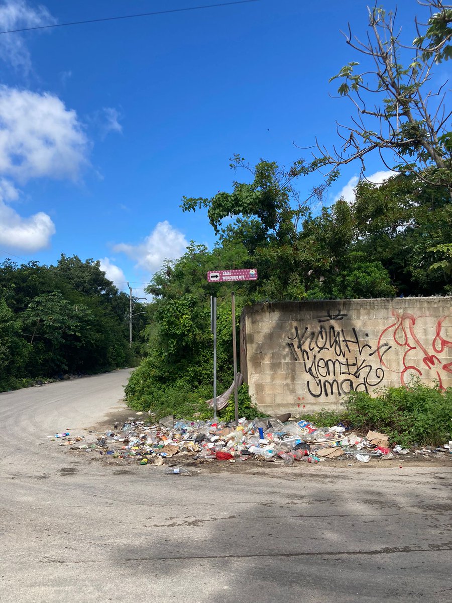 ReFiTulum's tweet photo. If these images hurt your heart, like they do ours, pls send us your loving vibrations💫, words of encouragement 🗣️&
PGN🤗for #GG19 https://t.co/sJbtTZj7zI
We are cleaning #Tulum to show how it CAN BE DONE, we ARE doing it. 💫💪🏽🇲🇽🌴💚 #refi
@petgasmx @TulumCoinDAO @RegenTulum https://t.co/Y3eJkbLjTc