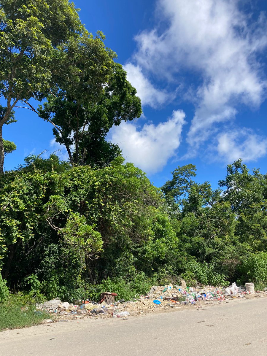 ReFiTulum's tweet photo. If these images hurt your heart, like they do ours, pls send us your loving vibrations💫, words of encouragement 🗣️&
PGN🤗for #GG19 https://t.co/sJbtTZj7zI
We are cleaning #Tulum to show how it CAN BE DONE, we ARE doing it. 💫💪🏽🇲🇽🌴💚 #refi
@petgasmx @TulumCoinDAO @RegenTulum https://t.co/Y3eJkbLjTc