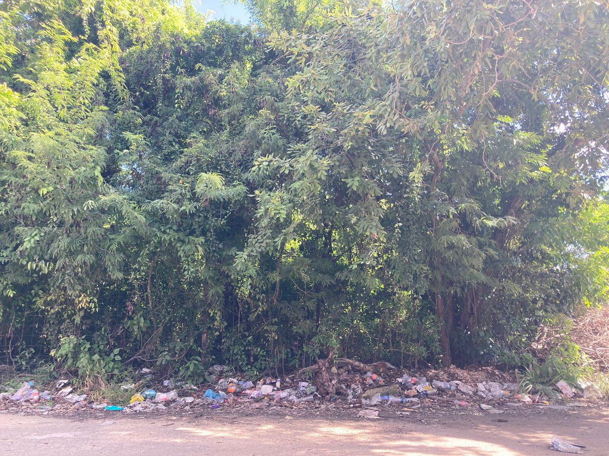 ReFiTulum's tweet photo. If these images hurt your heart, like they do ours, pls send us your loving vibrations💫, words of encouragement 🗣️&
PGN🤗for #GG19 https://t.co/sJbtTZj7zI
We are cleaning #Tulum to show how it CAN BE DONE, we ARE doing it. 💫💪🏽🇲🇽🌴💚 #refi
@petgasmx @TulumCoinDAO @RegenTulum https://t.co/Y3eJkbLjTc