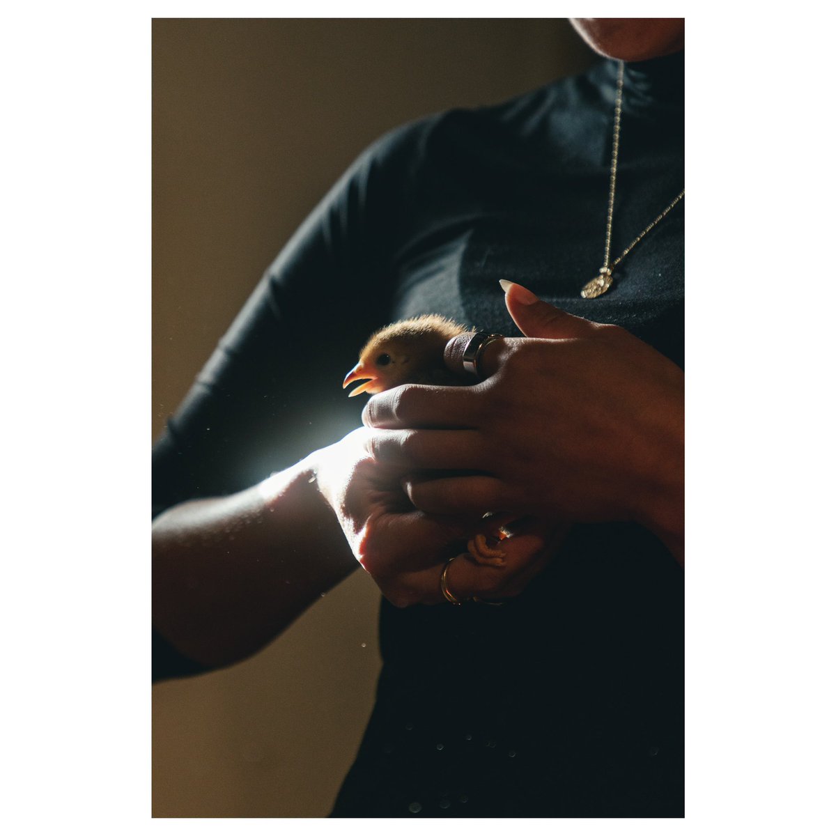 kid-winter tweet media