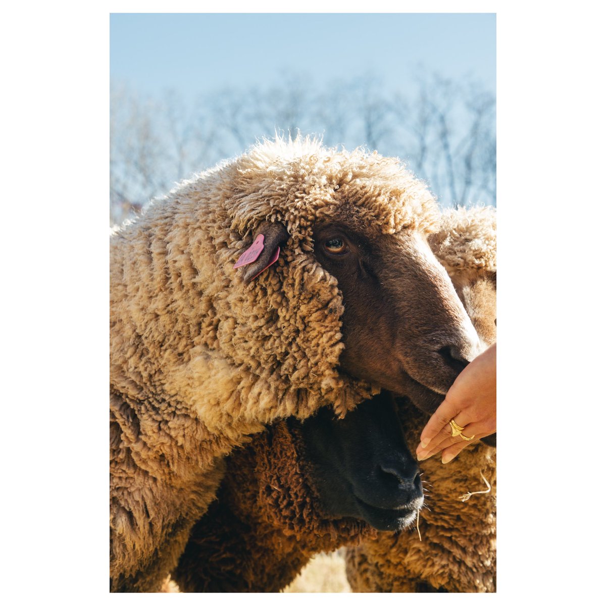 kid-winter tweet media