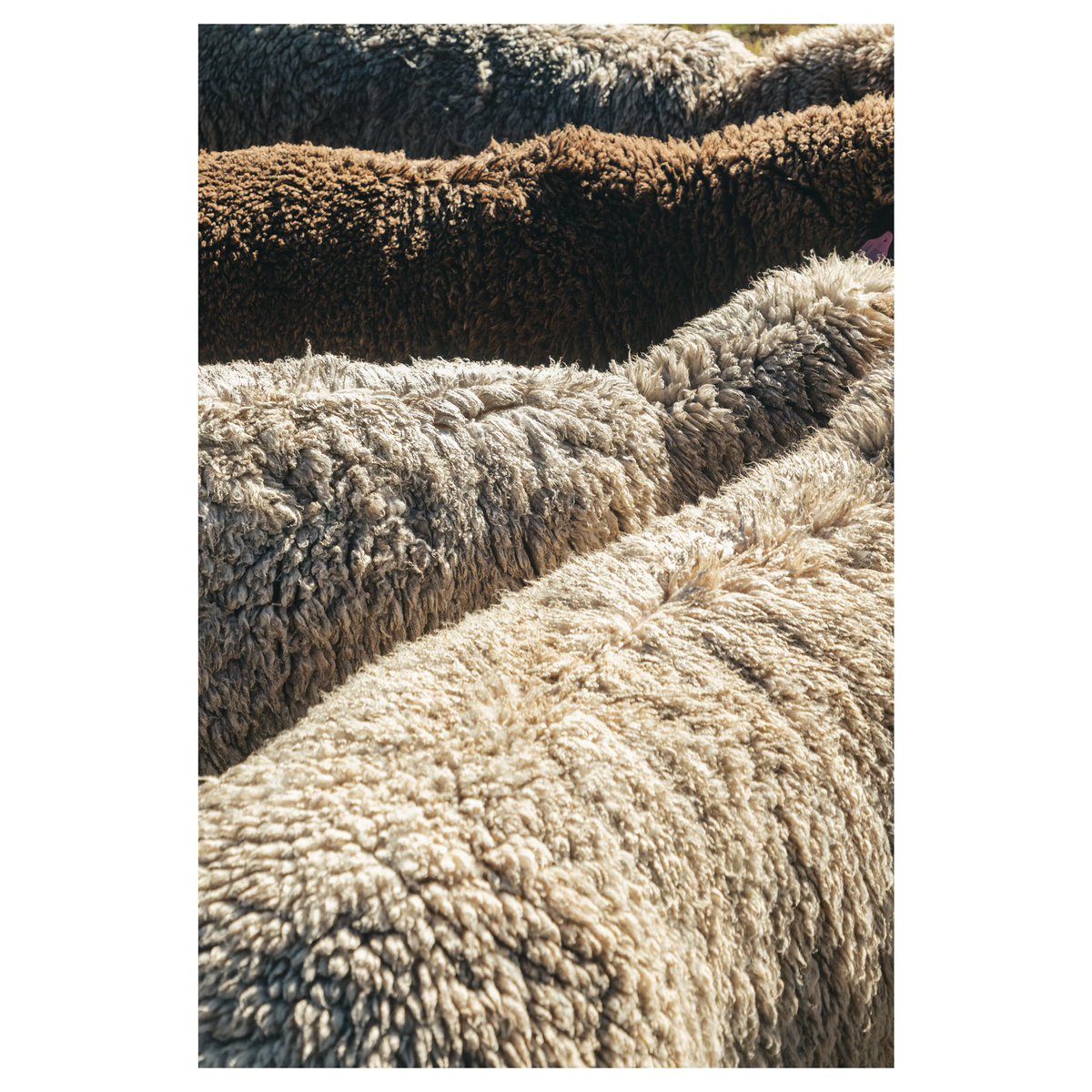 kid-winter tweet media