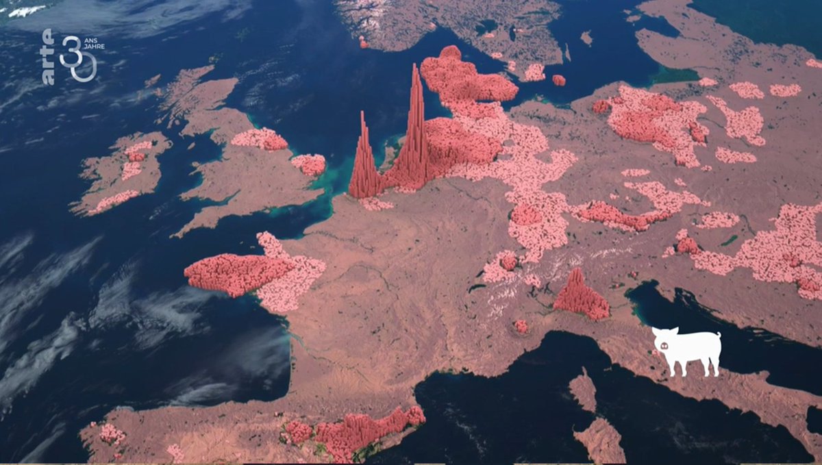 Nederland is de grootste vleesexporteur van Europa.