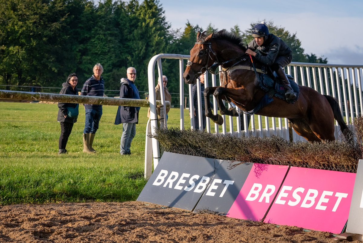 Fergal O'Brien Racing tweet media