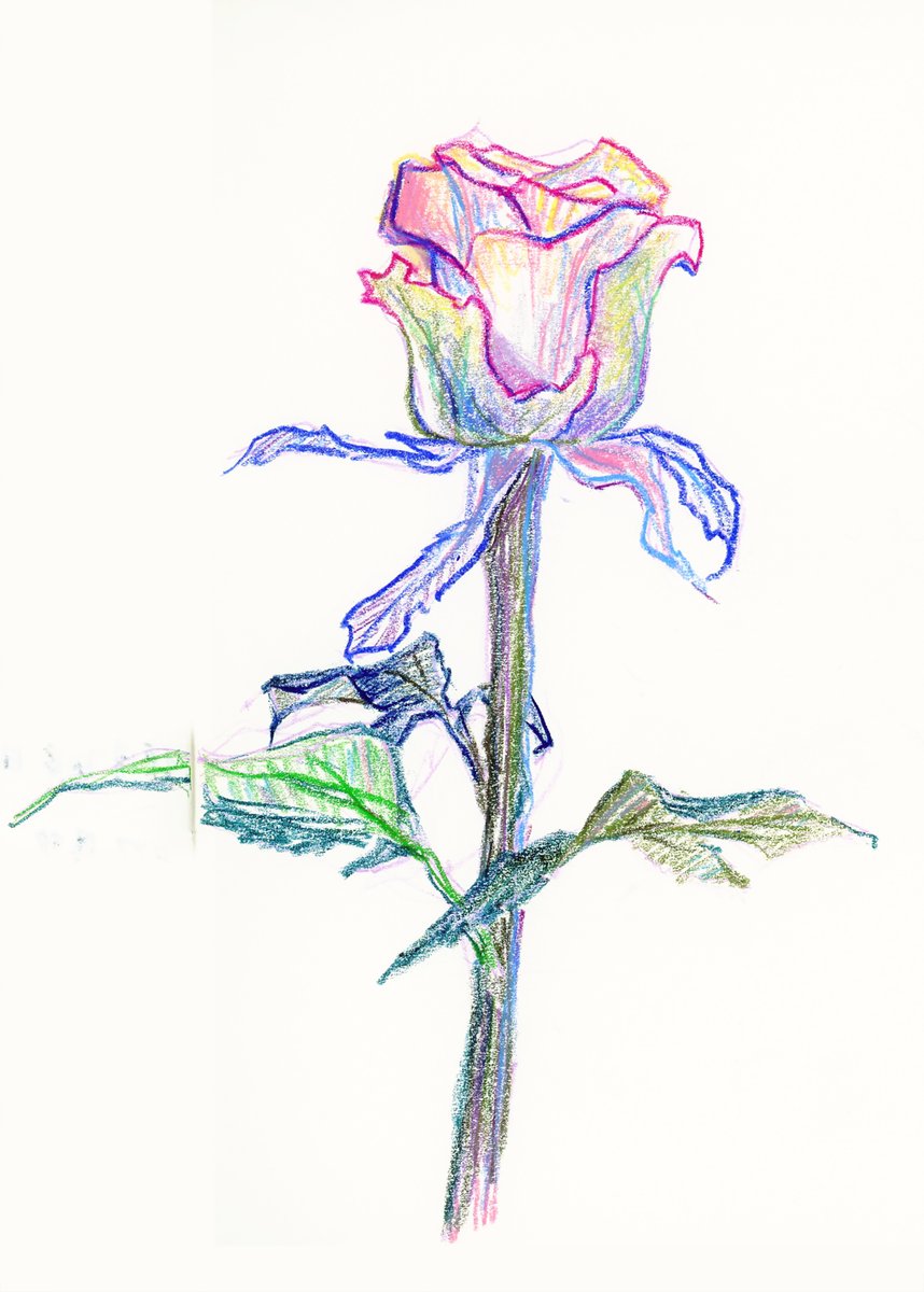 金絲花卷 (@maki_h720) on Twitter photo 