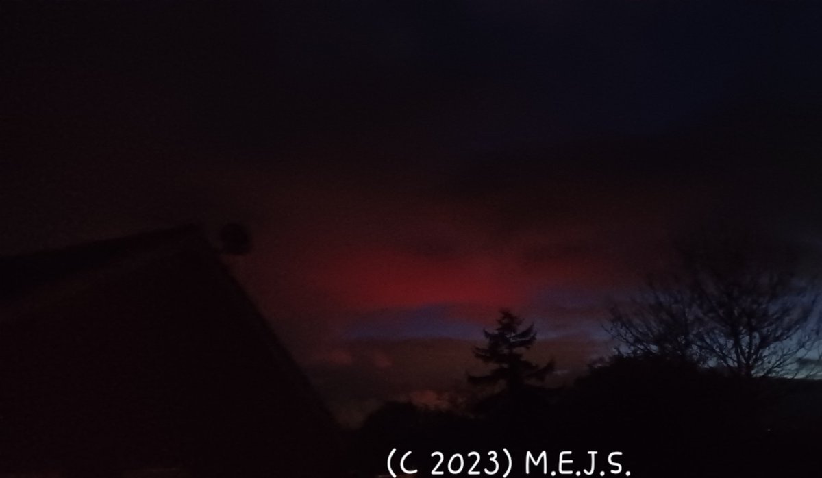 Michelle ~ Eastern tweet media