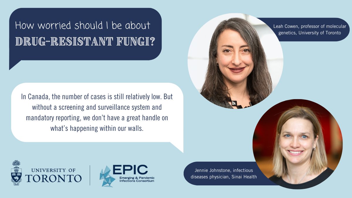 To mark the start #WAAW2023, we spoke with two experts about the drug-resistant fungal pathogen Candida auris - what makes it so worrisome and what we can and should do to prepare. Read our Q&A with #UofTEPIC members Leah Cowen and Jennie Johnstone: bit.ly/3SPFnsh