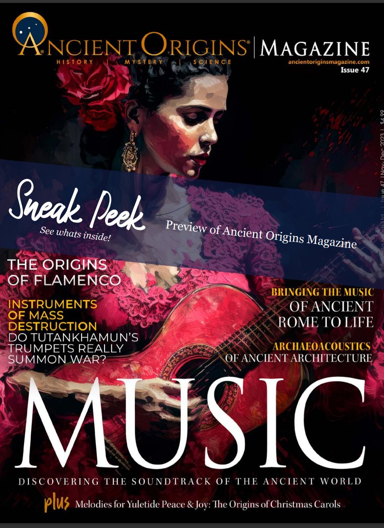 Dr. Mary Ann Tedstone Glover tweet media