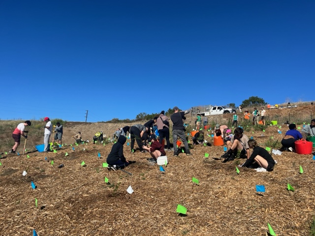It was a milestone weekend with the start of planting at the Ascot Hills Micro Forest. More at: instagram.com/p/Cz4HVc9Jsb8/
