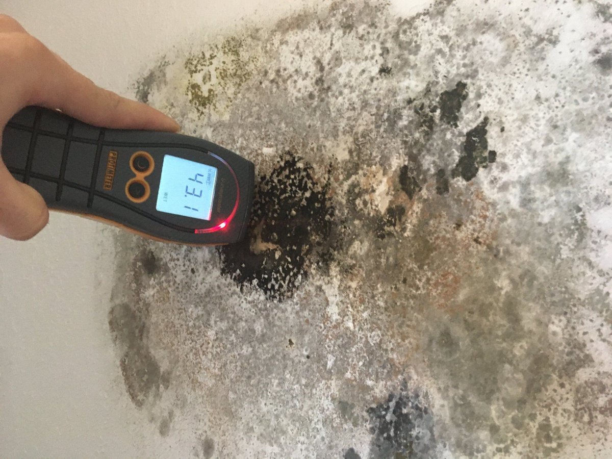 A Property Condition Assessment (PCA) can offer valuable insights regarding the presence of mold within your building. Check out our case study to see how PCA techniques assisted a historic hotel in identifying the underlying causes of mold growth. buff.ly/3SPQuBE.