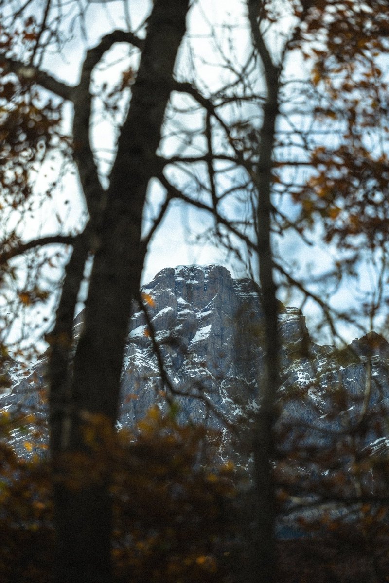 manualeso_'s tweet photo. Otoño por las montañas … https://t.co/PHYAgzIKMN