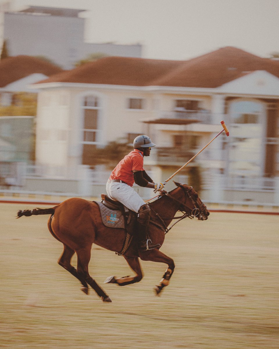 isaacojones's tweet photo. New work 🪄🐎🐎
shot by me https://t.co/gjf2cMFLx6