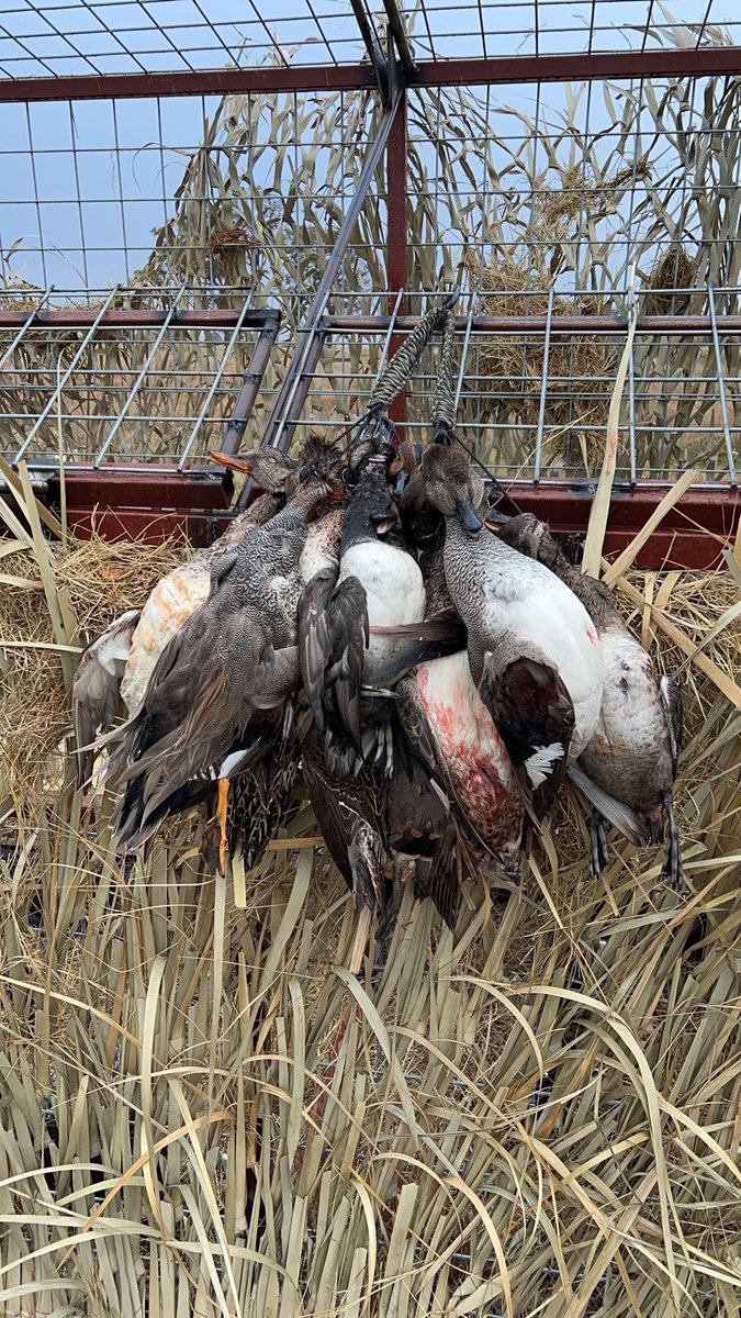 🦌🦆 <a href="/bentheretsu9095/">Unapologetic Texan</a> <a href="/kesey_troy/">Troy Kesey</a>