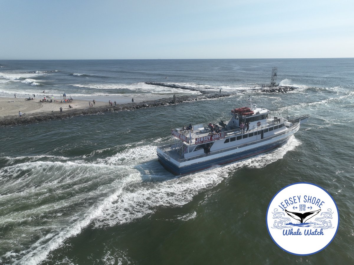 here we go The original whale watching tour from the Belmar Marina, phone 732.592.6400 or visit jerseyshorewhalewatch.com. We guarantee you will see a humpback whale, or your next trip is free! 90% success rate.