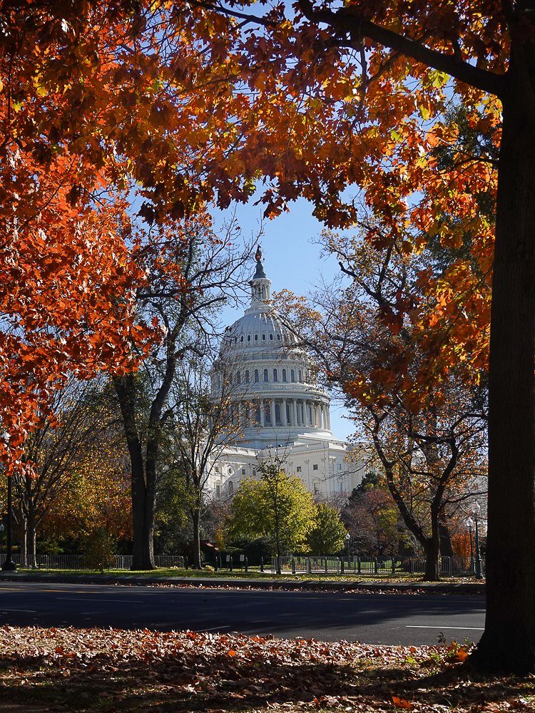 The goal of terrorism is to get attention &amp; provoke a violent response. 

I urge our leaders to support non-violent interventions like diplomacy, unarmed civilian peacekeeping,  Atrocities Prevention, Complex Crisis  &amp; Reconciliation resources.

#BeTheChange #peacebuilding #Mtpol