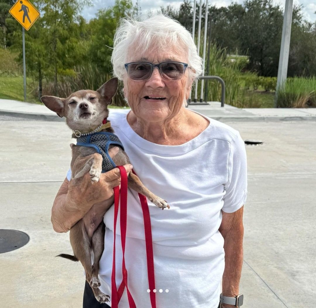 DannyRonsRescue's tweet photo. Adopted! 🎉 Spanky, Trevor, Hutch, and Trystan &amp; Beverly found wonderful homes with loving families! 🏡 ❤️ 

#adoptlove #alifetimepromise 
#dannyronsrescue #foreverhome #rescuedogs https://t.co/ty0NFuqdke