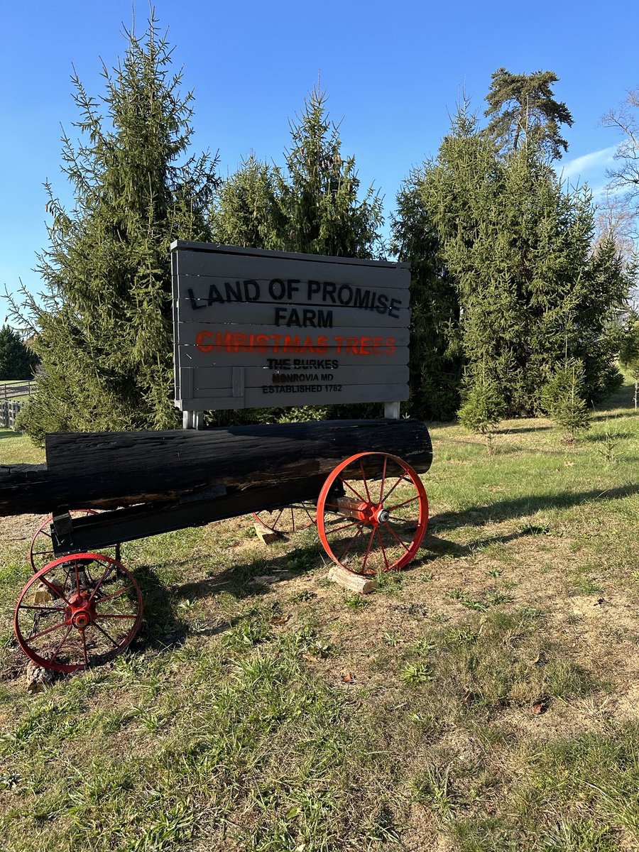 Maryland's Best tweet media