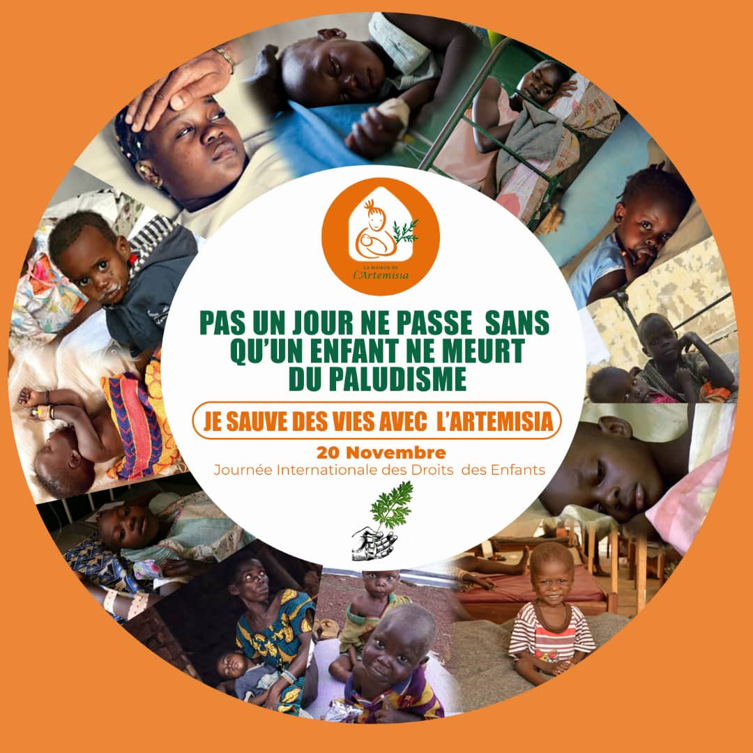 🌿JOURNÉE  MONDIALE DE L'ENFANCE : les femmes enceintes et les enfants de moins de  cinq ans représentent 80 % des décès dus au paludisme. 
L'Artemisia, une solution accessible aux plus démunis pour lutter contre le paludisme.
#journéemondialedelenfance #enfance #malaria