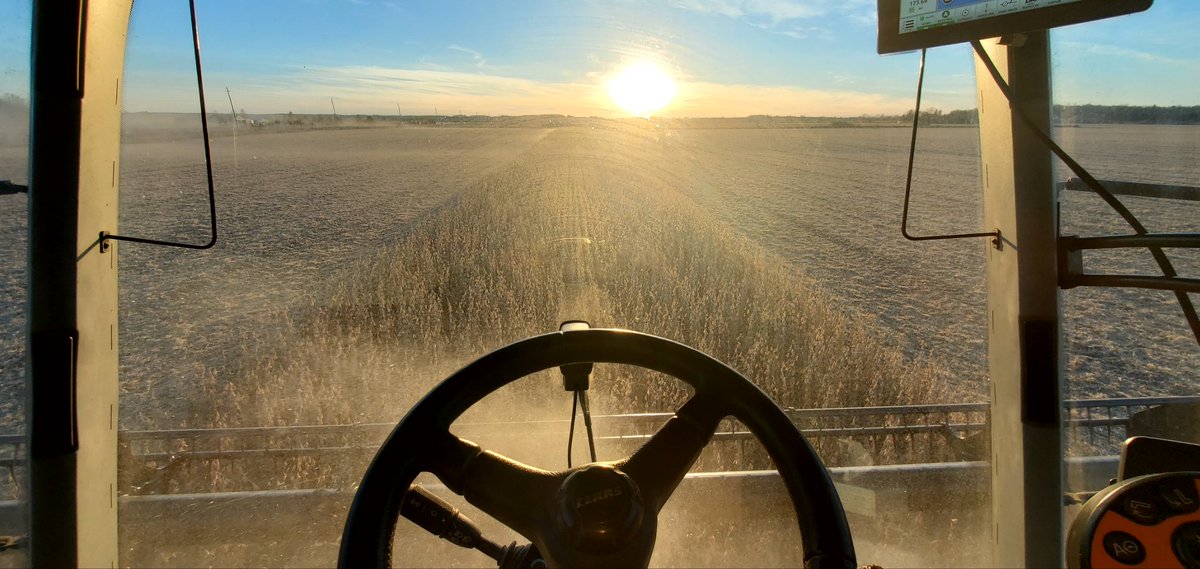 JayReist's tweet photo. Finally the end of bean #harvest. https://t.co/mHSMzw1NuP