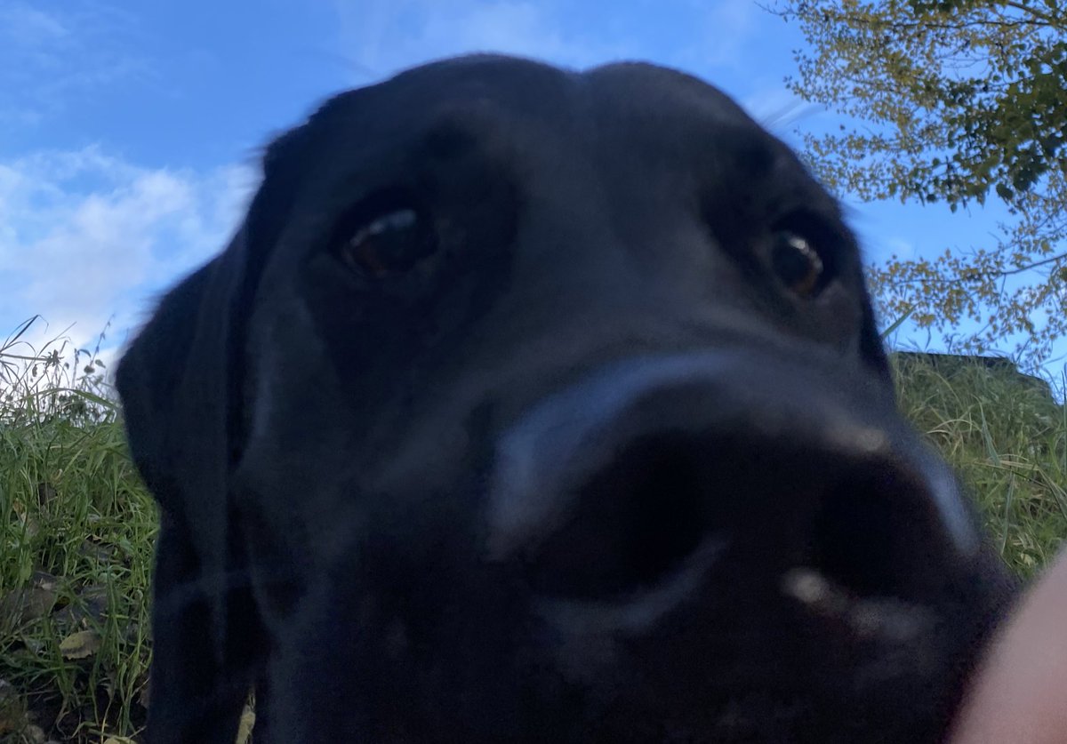 FRiiKKE (@friiikke) on Twitter photo 