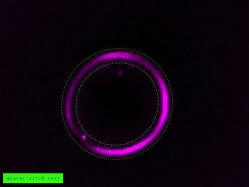 With the #Polaraide we can identify the stages of ovocitary maturity, analyse the oocyte after the freezing and unfreezing procedures and improve the efficiency of the polar body and embryo biopsy techniques when we use the #PreimplantationalGeneticTest. bit.ly/3dOGIcI
