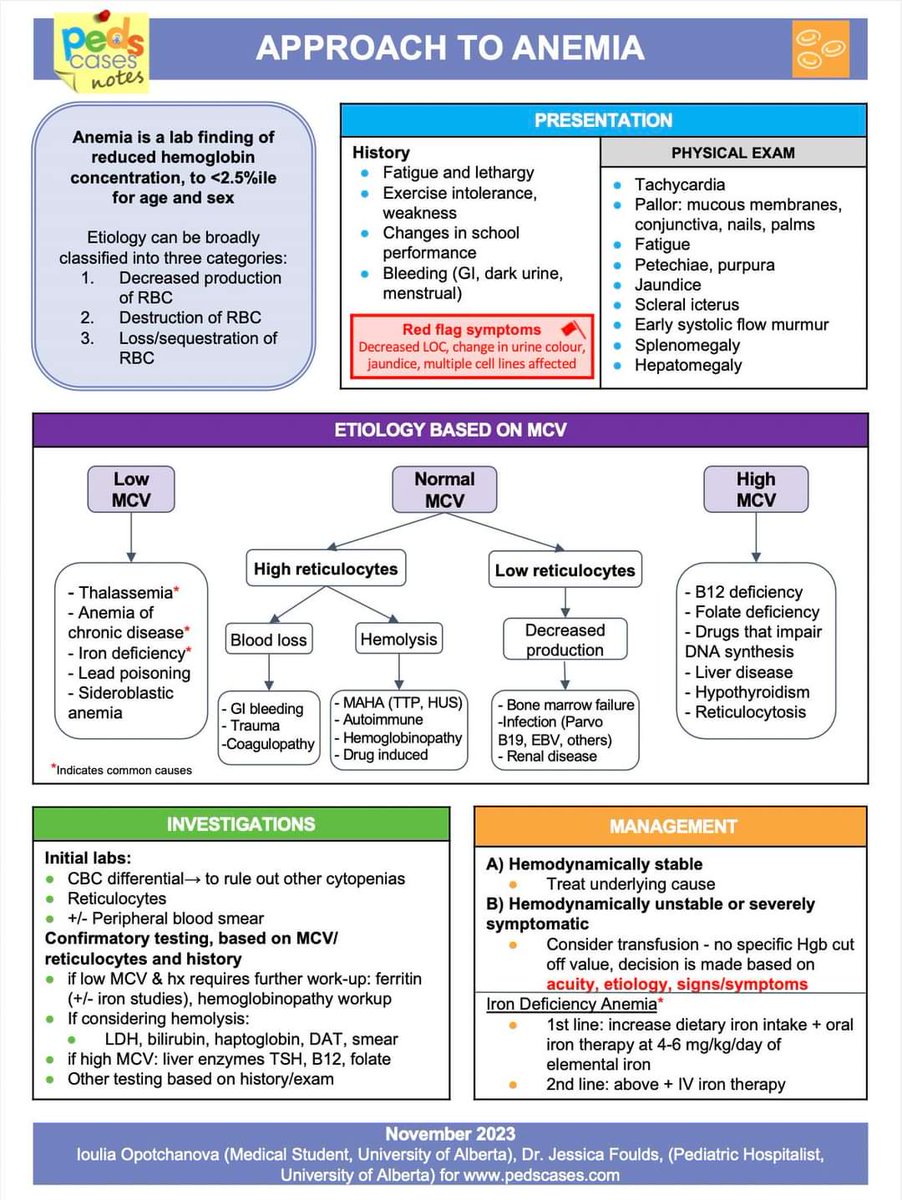 majedalhoriby's tweet photo. APPROACH TO ANEMIA 🥰👇 https://t.co/FzgRlEUBuo