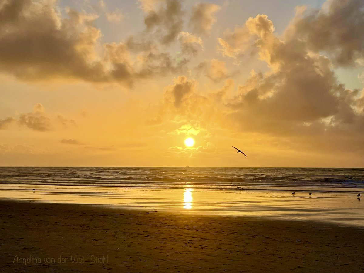 Wat een geluk dat ik geboren mocht worden op Texel en daar zo van mag genieten ❤️🍀🌞 #zonsondergang #texel #geluksvogel