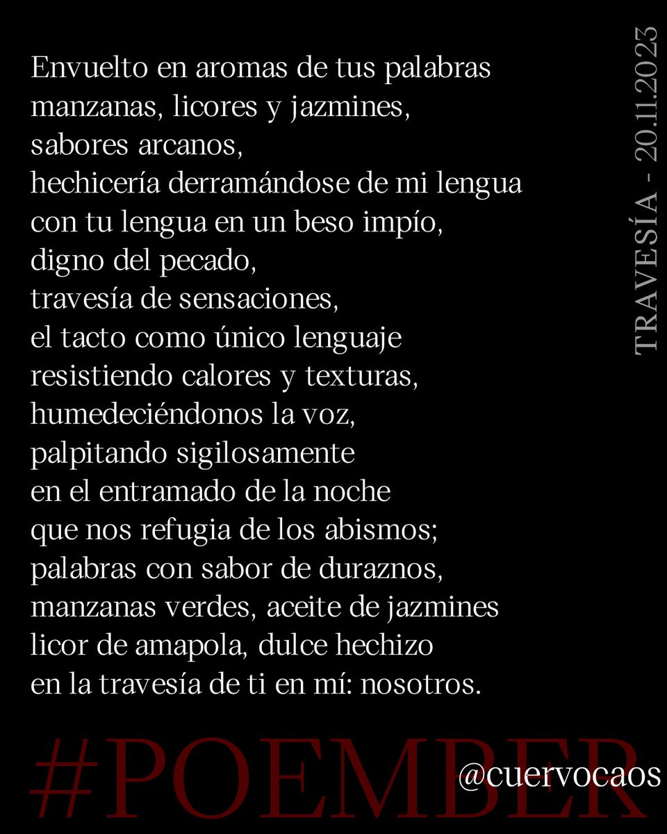 cuervocaos's tweet photo. TRAVESÍA - 20.11.2023
#Poember #Poesía #Poema #Poetry #Poem #Poésie #Jueverotic #Psicosisred #Panicosiniestro #EróticoAquelarre #EroTuits #PoesíaArcana
POEMBER, ¿cómo participar? Aquí el link para ello:
https://t.co/k7ODuYrzf8 https://t.co/P5HJPCtQzL