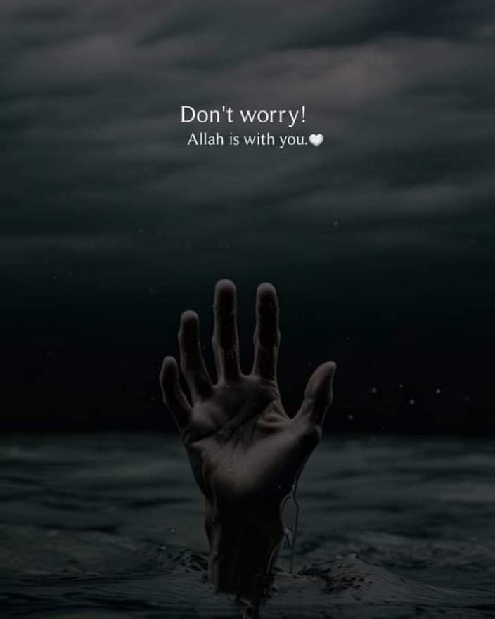 اسلام وعلیکم دوستوں ❤️🫴

As Salam alaikum everyone 🌹🕊️