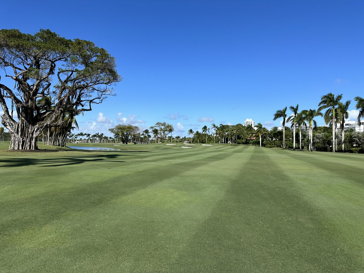 Greens held up well through last weeks poor weather and we were finally able to get a cut on all shortgrass.  Happy Monday! #turflife