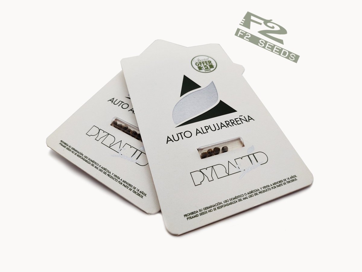 F2seeds_pl's tweet photo. Auto Alpujarrena 💚 od @pyramidseeds 🔝

✅Fenotyp najnowszej generacji nasion marihuany od Pyramid Seeds ♥️
✅Słodki smak, silny aromat typowy dla odmiany konopi z lekkim, relaksującym efektem #indica 🌱
✅Więcej➡️https://t.co/2o4UvklreM

#PyramidSeeds #F2seeds #420friendly https://t.co/7iUQ08zJFV