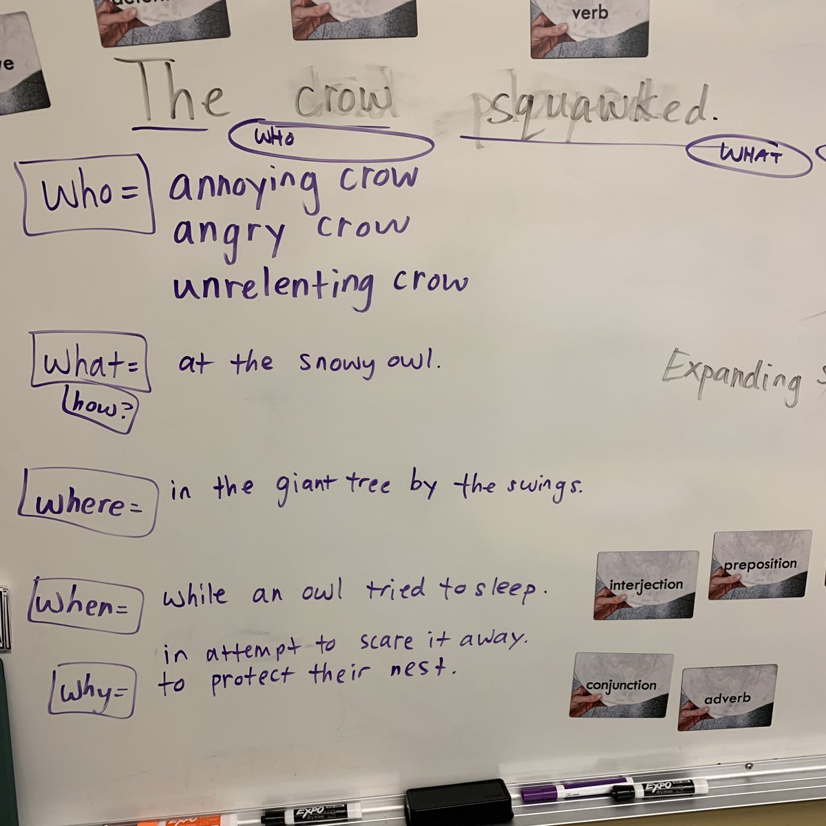 Curriculum as planned / curriculum as lived. Hurrah for an owl sighting this morning to inspire our sentence expanding!