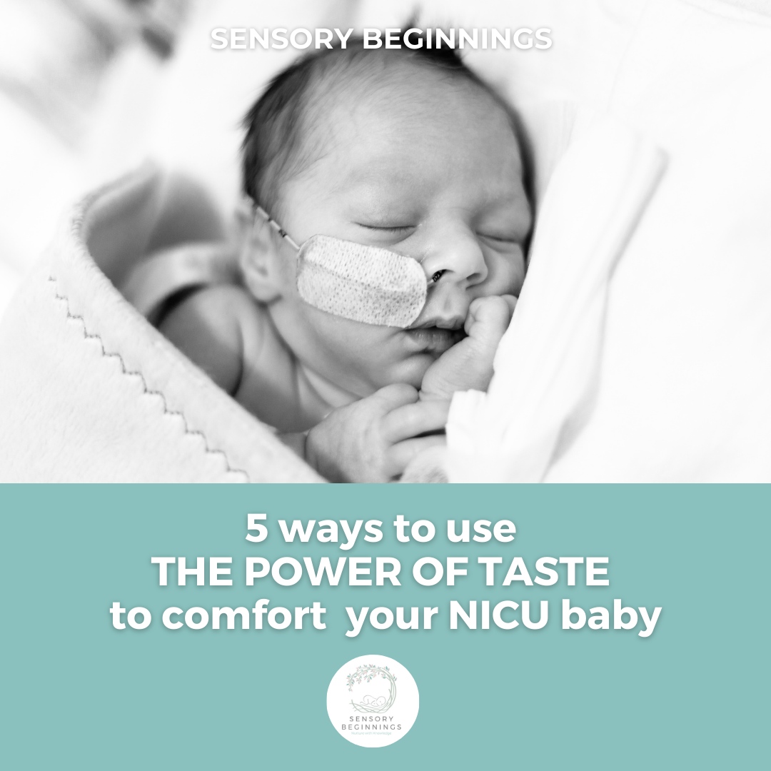 Sensory Beginnings tweet media