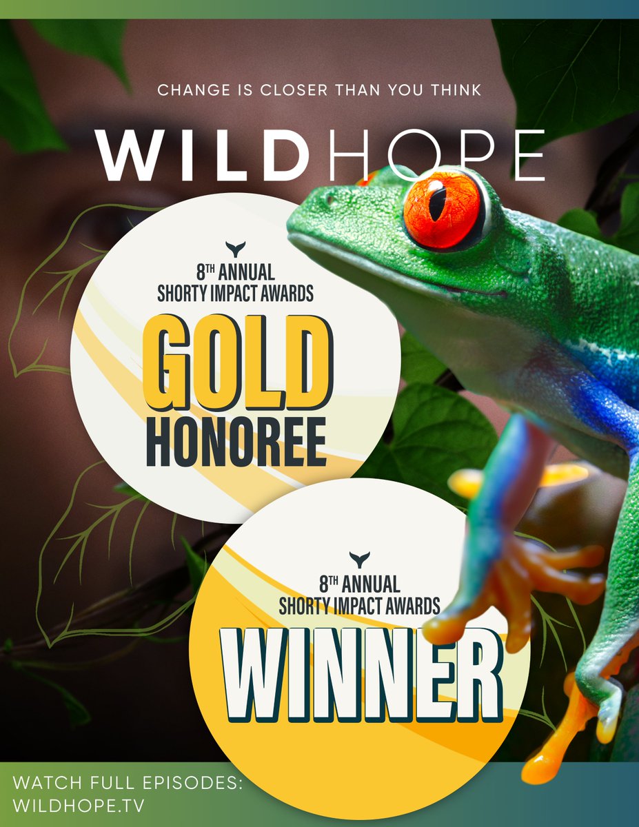 Tangled Bank Studios tweet media