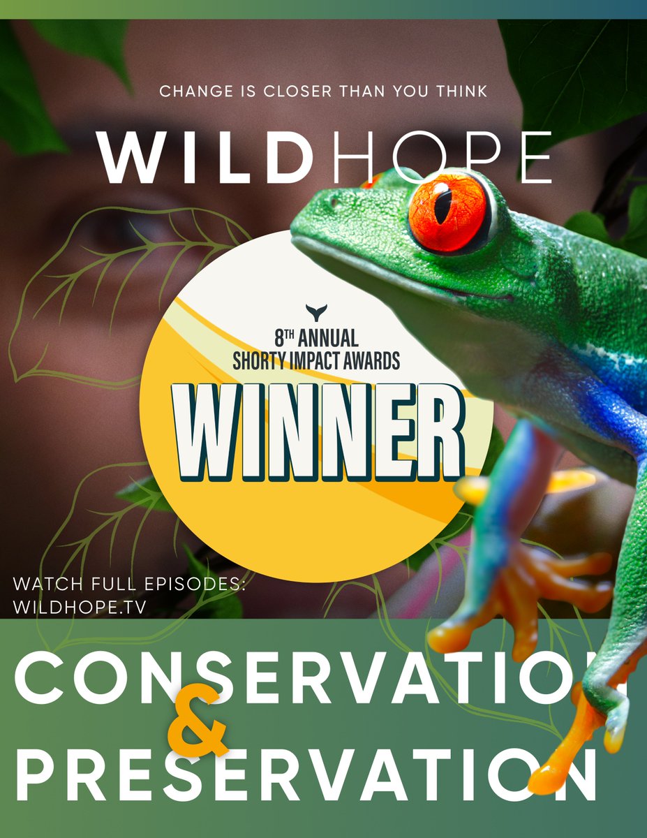 Tangled Bank Studios tweet media