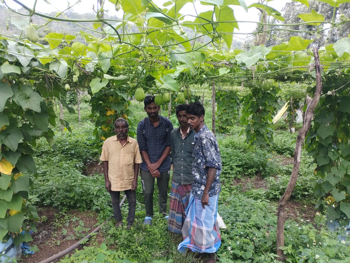 DrsenthilVa's tweet photo. Tribal hamlets at Eastern ghats 🏞️♥️
Had an great interaction with tribal people regarding their socio economic status, education difficulties, Health services.
பழங்குடியின மக்களின் தலைவர் அவர்களோடு பழங்குடி மக்கள் இருப்பிடங்களை தேடி நீண்ட தூரம் நடந்து பயணித்த போது
#Thenmalai https://t.co/bgOpExUFr9