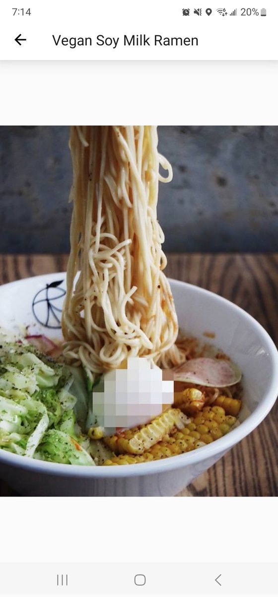 this japanese restaurant has a vegan version of their noodles & instead of taking a new photo they just censored out the egg