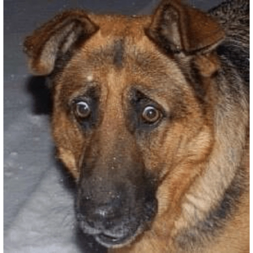 tom_azito's tweet image. @hscanner y @bbsanzo hablando de armas en los boliches, y bajar nenes al sub suelo de la radio

#UnDinamoZ95
@Cirujanoderadio
@maurodiaz73
@UnDinamo