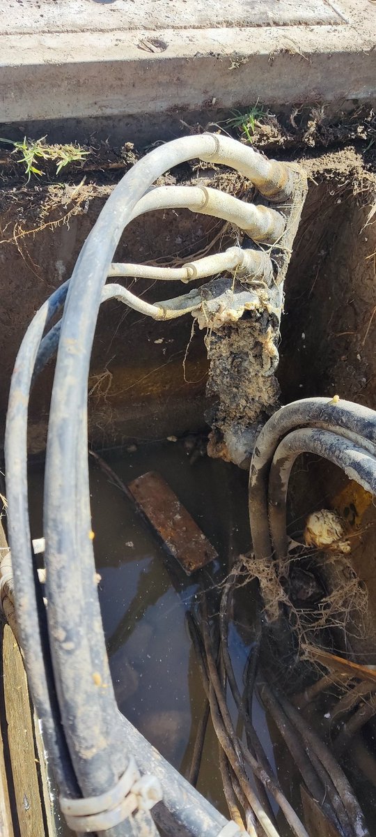 8omarglez8's tweet photo. @CFE_Contigo @CFEmx  llevo 5 días sin energía eléctrica y 5 reportes cerrados, sólo lo cierran o me dicen que mañana vienen https://t.co/B76l51qqla