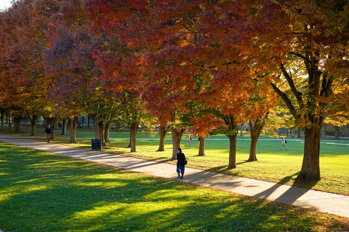 universityofri's tweet photo. When the walk to class is always along the scenic route. 🍂 https://t.co/oTg1PKGa0S